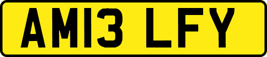 AM13LFY