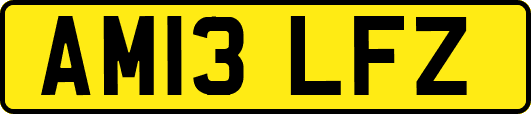 AM13LFZ