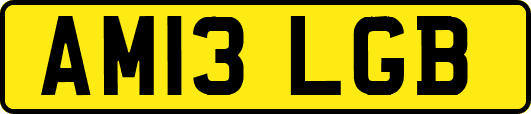 AM13LGB