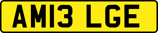 AM13LGE