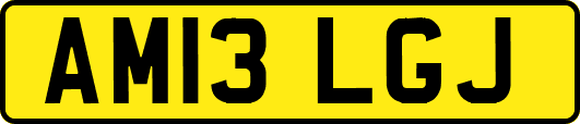 AM13LGJ