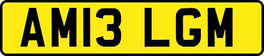 AM13LGM