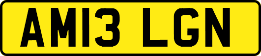 AM13LGN