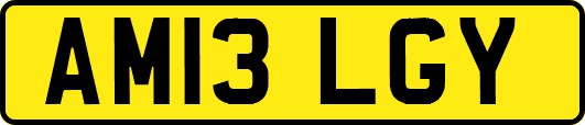 AM13LGY