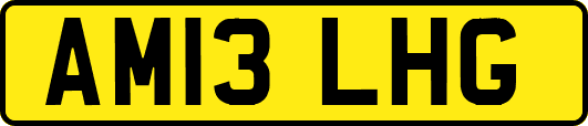 AM13LHG