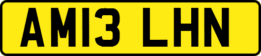 AM13LHN