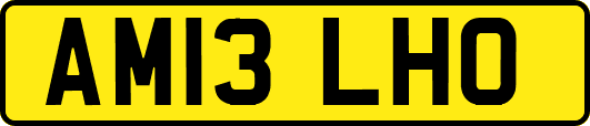 AM13LHO