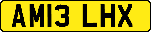AM13LHX