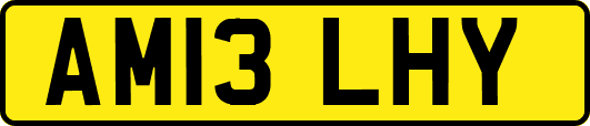 AM13LHY