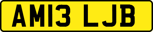 AM13LJB