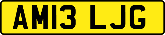 AM13LJG