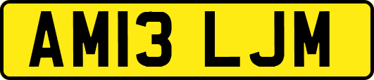 AM13LJM