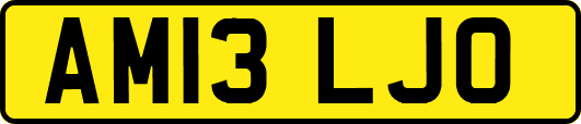 AM13LJO