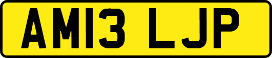 AM13LJP
