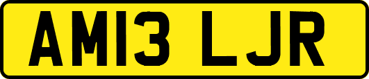 AM13LJR