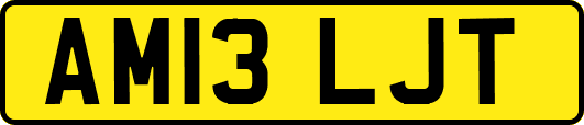 AM13LJT