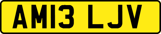 AM13LJV