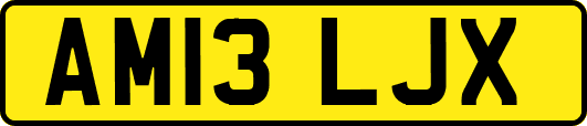 AM13LJX