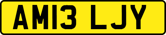 AM13LJY