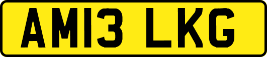AM13LKG