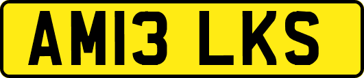 AM13LKS