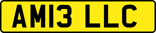 AM13LLC