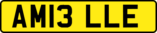 AM13LLE