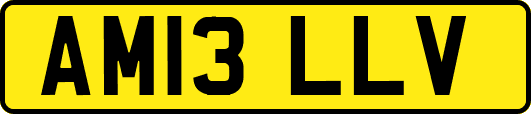 AM13LLV