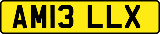 AM13LLX