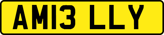 AM13LLY