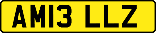 AM13LLZ