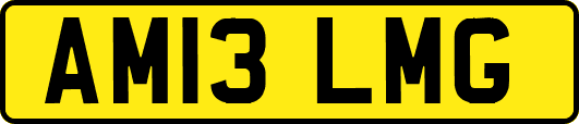 AM13LMG