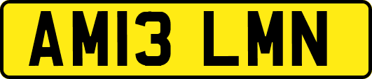 AM13LMN