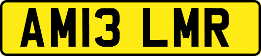 AM13LMR