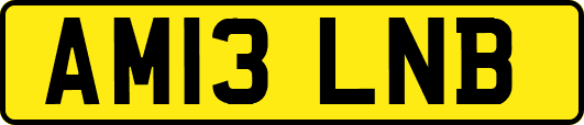 AM13LNB