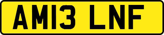AM13LNF