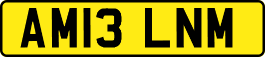 AM13LNM