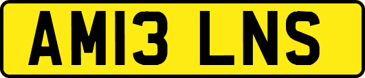 AM13LNS