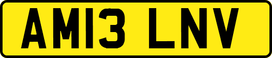 AM13LNV