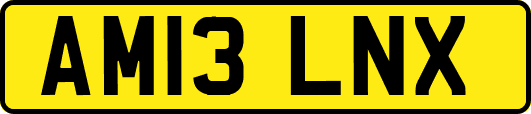 AM13LNX