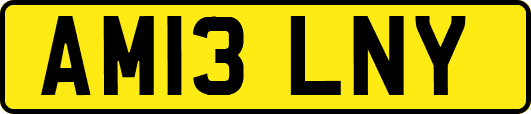 AM13LNY