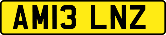 AM13LNZ
