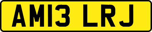 AM13LRJ
