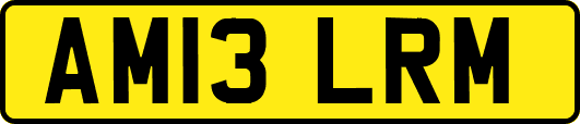 AM13LRM