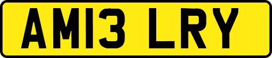 AM13LRY