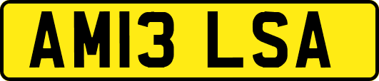 AM13LSA