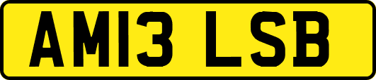 AM13LSB