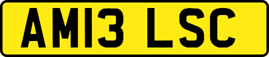 AM13LSC