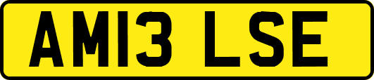 AM13LSE
