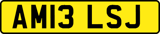 AM13LSJ